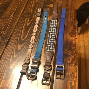 4 large dog collars